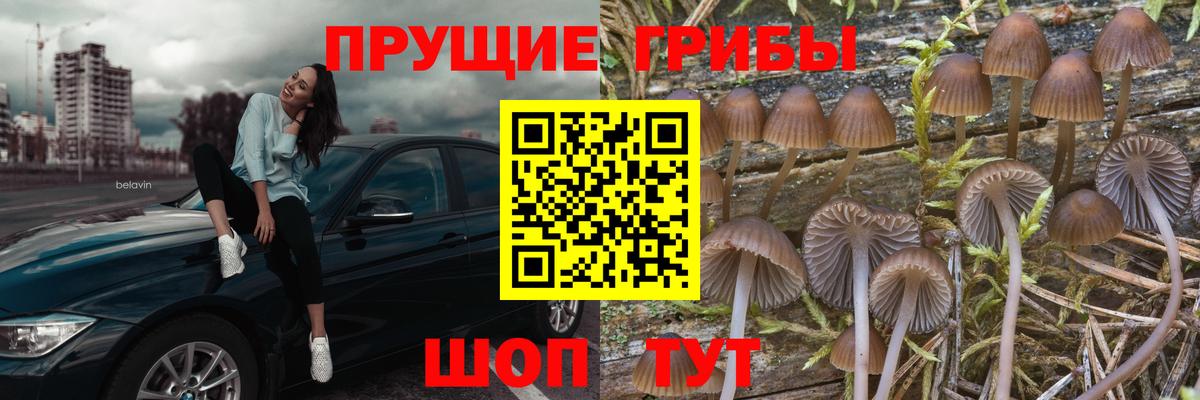 Псилоцибиновые грибы мицелий  Вход с VPN  Симферополь  Галлюциногенные грибы мухоморы 