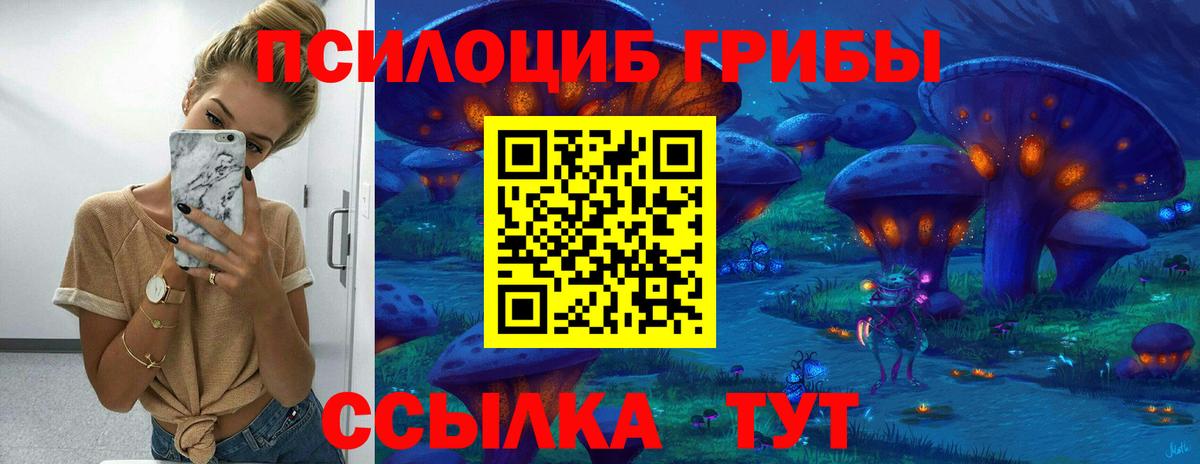 Псилоцибиновые грибы Psilocybe Симферополь